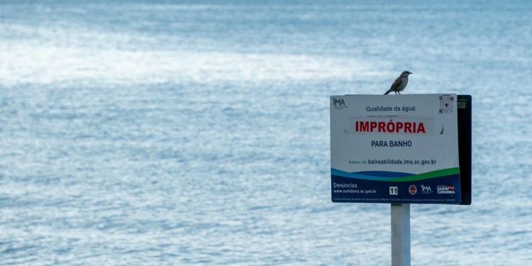 73,9% das praias de Santa Catarina estão próprias para banho, aponta novo relatório do IMA