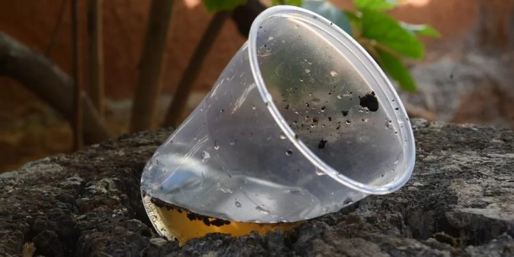 Santa Catarina enfrenta alta recorde de focos de dengue e acende alerta em todo o estado