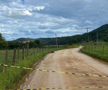 Criança escapa ilesa após cavalo morrer eletrocutado em Canelinha