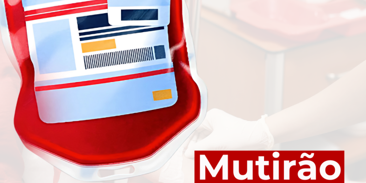 Secretaria de Saúde de Canelinha promove mutirão de doação de sangue com transporte gratuito para o Hemosc