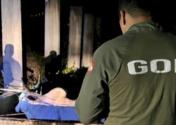 Com multas de até R$ 20 mil, PMSC inicia Operação Quaresma contra a Farra do Boi