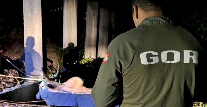 Com multas de até R$ 20 mil, PMSC inicia Operação Quaresma contra a Farra do Boi