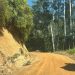 Secretaria de Obras de Nova Trento realiza vistoria em manutenção na estrada da Jacomina, em Ribeirão Bonito