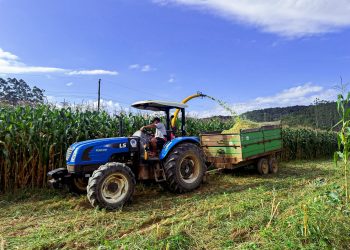 Secretaria Municipal de Agricultura intensifica apoio a produtores rurais de São João Batista