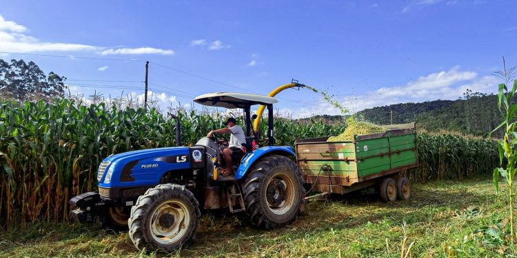 Secretaria Municipal de Agricultura intensifica apoio a produtores rurais de São João Batista