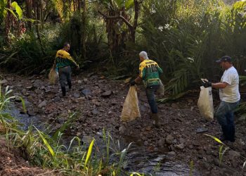 Ação de limpeza dos rios mobiliza voluntários e reforça conscientização ambiental em Nova Trento