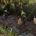 Ação de limpeza dos rios mobiliza voluntários e reforça conscientização ambiental em Nova Trento