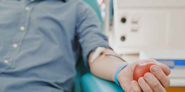 Lei permite trocar multa leve de trânsito por doação de sangue ou cadastro de medula em São João Batista