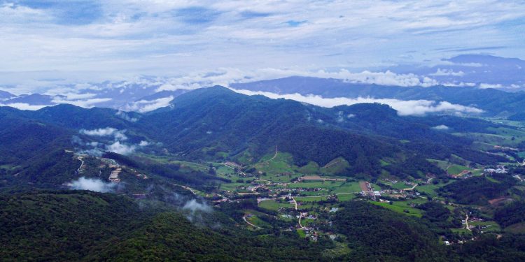 Trilha do Morro da Gurita recebe manutenção antes do período de Páscoa