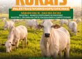 Construagro terá oficinas gratuitas e convite especial da Epagri para pecuaristas da região