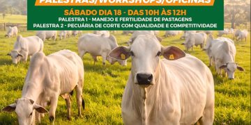 Construagro terá oficinas gratuitas e convite especial da Epagri para pecuaristas da região