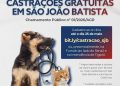 Pet Levado a Sério: Prefeitura de São João Batista lança edital com 881 vagas gratuitas para castração de cães e gatos