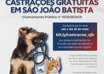 Prefeitura de São João Batista lança edital com 881 vagas gratuitas para castração de cães e gatos