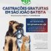 Prefeitura de São João Batista lança edital com 881 vagas gratuitas para castração de cães e gatos
