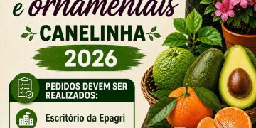 Feira de Mudas oferece espécies frutíferas e ornamentais para a população de Canelinha