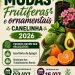 Feira de Mudas oferece espécies frutíferas e ornamentais para a população de Canelinha