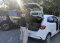 PRF intercepta mais de 400 quilos de maconha na BR-101 em Joinville