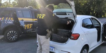 PRF intercepta mais de 400 quilos de maconha na BR-101 em Joinville