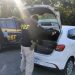 PRF intercepta mais de 400 quilos de maconha na BR-101 em Joinville