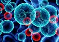 SUS incluirá nova terapia para pacientes adultos com leucemia mieloide aguda
