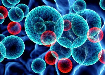 SUS incluirá nova terapia para pacientes adultos com leucemia mieloide aguda