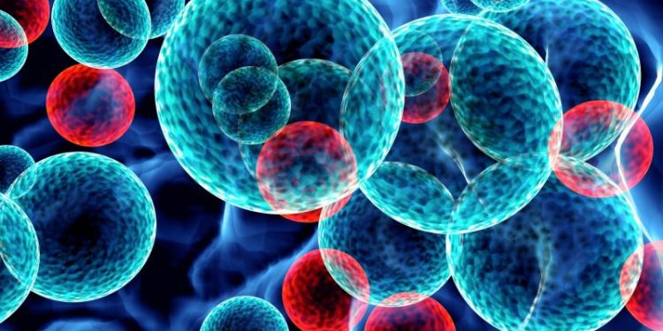 SUS incluirá nova terapia para pacientes adultos com leucemia mieloide aguda