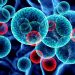 SUS incluirá nova terapia para pacientes adultos com leucemia mieloide aguda
