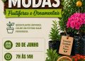 Feira de Mudas Frutíferas e Ornamentais acontece neste mês em Nova Trento