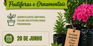Feira de Mudas Frutíferas e Ornamentais acontece neste mês em Nova Trento