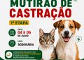 Nova Trento inicia convocação dos tutores para mutirão de castração do Programa Pet Levado a Sério