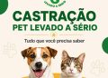 Programa Pet Levado a Sério segue com inscrições abertas em Nova Trento e orienta tutores sobre critérios para castração