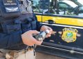 Fiscalização e conscientização marcam 18 anos da Lei Seca em Santa Catarina