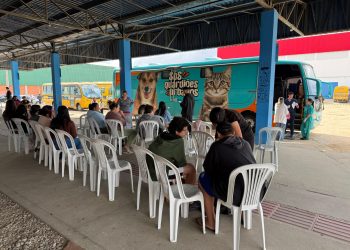 Com ampliação de público-alvo, Prefeitura de São João Batista abre novo edital para castração gratuita de cães e gatos
