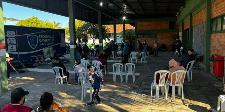 Primeira etapa do Programa de Castrações Gratuitas em Nova Trento registra alta adesão e realiza 193 procedimentos