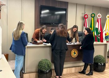 CMDCA homologa resultado da Eleição Suplementar para suplentes do Conselho Tutelar