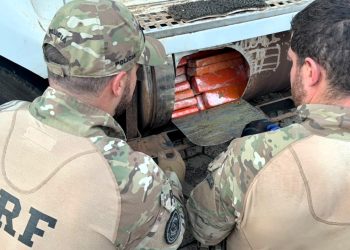 Cão farejador da PRF descobre mais de meia tonelada de maconha escondidos em tanque de combustível de carreta no Oeste catarinense