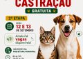 Nova Trento terá segunda etapa de mutirão de castrações gratuitas nos dias 12 e 13 de setembro