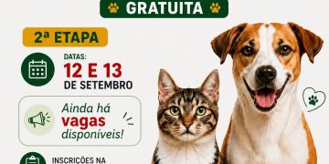 Nova Trento terá segunda etapa de mutirão de castrações gratuitas nos dias 12 e 13 de setembro