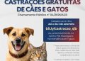 Prefeitura de São João Batista lança novo edital para castração gratuita de cães e gatos