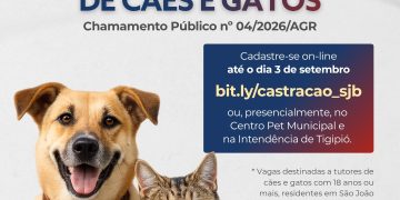 Prefeitura de São João Batista lança novo edital para castração gratuita de cães e gatos