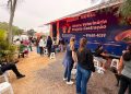 Mutirão de castração realiza 200 procedimentos gratuitos e reforça ações do bem-estar animal em Tijucas