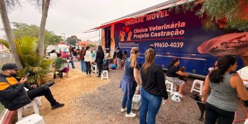 Mutirão de castração realiza 200 procedimentos gratuitos e reforça ações do bem-estar animal em Tijucas