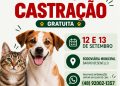 Nova Trento realiza segunda etapa de mutirão de castrações gratuitas neste fim de semana