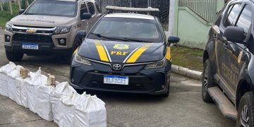Ação integrada PRF, PF e PM descobre depósito subterrâneo com mais de 200 quilos de cocaína em Itajaí