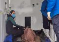 Golfinho resgatado em praia do sul de SC é escoltado até Florianópolis para reabilitação