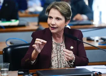 Derrite e Tereza Cristina contrariam decisão partidária sobre o Senado